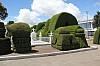 22245.jpg 22245.jpg