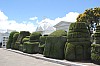 22247.jpg 22247.jpg