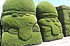 22250.jpg 22250.jpg