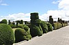 22278.jpg 22278.jpg