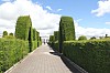 22282.jpg 22282.jpg