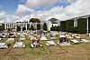 22285.jpg 22285.jpg
