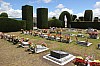 22287.jpg 22287.jpg