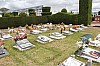 22288.jpg 22288.jpg
