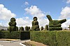 22293.jpg 22293.jpg