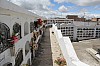 22317.jpg 22317.jpg