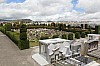 22320.jpg 22320.jpg