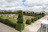 22321.jpg 22321.jpg