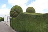 22332.jpg 22332.jpg