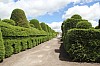 22342.jpg 22342.jpg