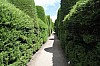 22343.jpg 22343.jpg
