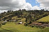 22372.jpg 22372.jpg