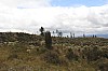 22424.jpg 22424.jpg