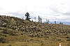 22425.jpg 22425.jpg