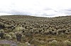 22438.jpg 22438.jpg