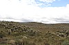 22440.jpg 22440.jpg