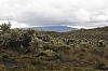 22441.jpg 22441.jpg