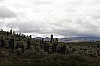 22450.jpg 22450.jpg