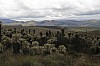 22460.jpg 22460.jpg