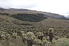 22464.jpg 22464.jpg