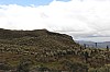 22469.jpg 22469.jpg