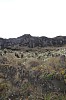 22486.jpg 22486.jpg