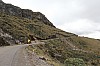 22508.jpg 22508.jpg