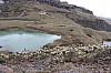 22531.jpg 22531.jpg
