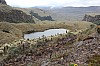 22532.jpg 22532.jpg