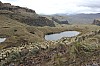22534.jpg 22534.jpg