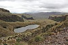 22538.jpg 22538.jpg