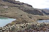22549.jpg 22549.jpg
