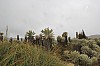 22611.jpg 22611.jpg