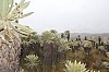 22616.jpg 22616.jpg