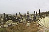 22617.jpg 22617.jpg