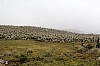 22626.jpg 22626.jpg
