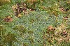 22628.jpg 22628.jpg