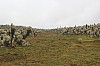 22640.jpg 22640.jpg