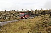 22642.jpg 22642.jpg