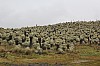 22643.jpg 22643.jpg