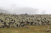 22644.jpg 22644.jpg
