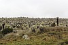 22646.jpg 22646.jpg
