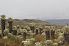 22647.jpg 22647.jpg