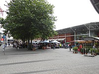 8527.jpg 8527.jpg