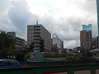 8547.jpg 8547.jpg