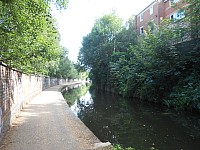 8575.jpg 8575.jpg
