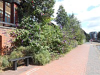 8712.jpg 8712.jpg
