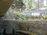 8721.jpg 8721.jpg