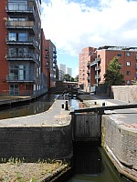 8729.jpg 8729.jpg