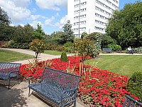 8743.jpg 8743.jpg